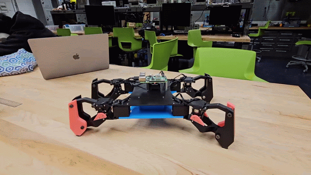 Quadruped Robot